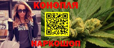 кокс Кингисепп