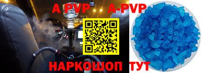 кокс Кингисепп
