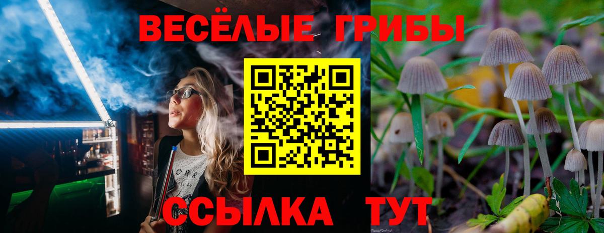 Галлюциногенные грибы мухоморы Киселёвск
