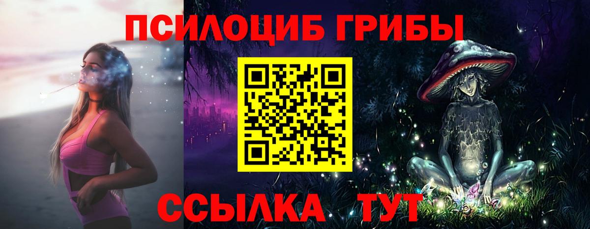 Киселёвск  Галлюциногенные грибы ЛСД  Вход с VPN 